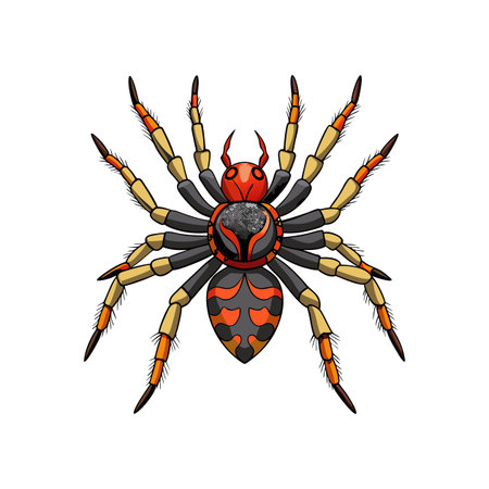 Colorful Realistic Illustration of Atypus Arachnidのイラスト素材