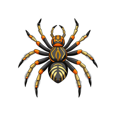 Realistic Arctosa Arachnid Color Illustrationのイラスト素材