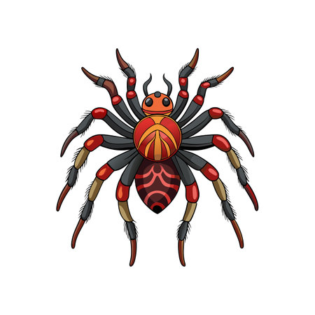 Stunning Colorful Cyclocosmia Arachnid Artworkのイラスト素材