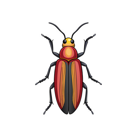 Detailed Illustration of Click Beetle in Colorのイラスト素材