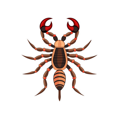 Realistic Euscorpius Arachnid Colorful Illustrationのイラスト素材