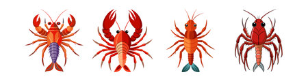 Realistic Cyclodorippinae Crustacean Colorful Illustrationのイラスト素材