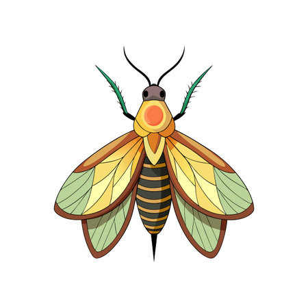 Realistic Color Illustration of Fall Webwormのイラスト素材