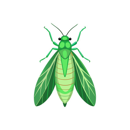 Realistic Green Lacewing Illustration Capturing Nature's Essenceのイラスト素材