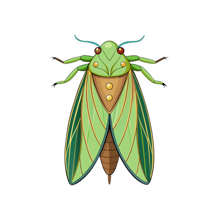 Vivid Artwork of Leafhopperのイラスト素材