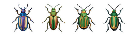 Realistic Ground Beetle Artwork Highlighting Its Detailsのイラスト素材