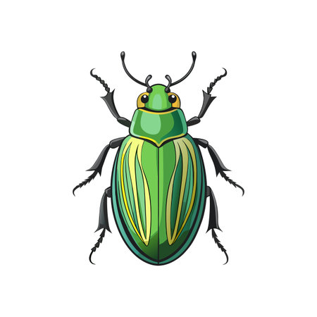 Detailed Color Illustration of Leaf Beetleのイラスト素材
