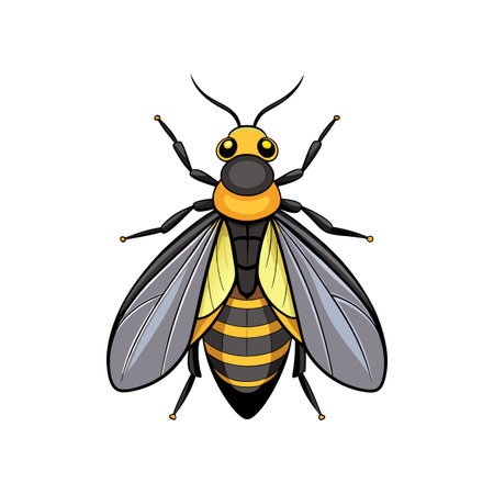 Realistic Color Illustration of Lightning Bugのイラスト素材