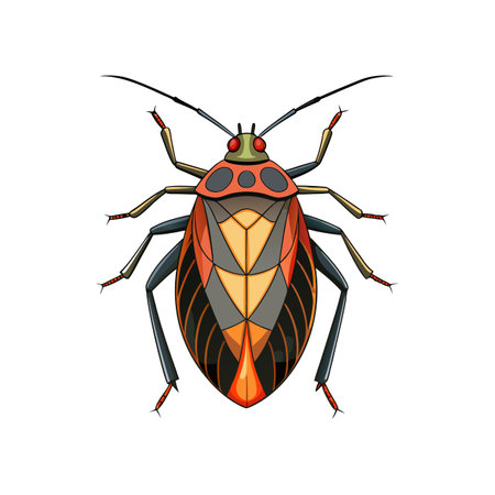 Realistic Color Illustration of Squash Bugのイラスト素材
