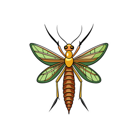 Vivid Artwork of Mayflyのイラスト素材