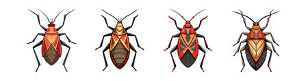 Realistic Kissing Bug Animal Colorful Illustrationのイラスト素材