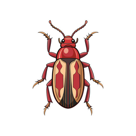 Colorful Realistic Illustration of Southern Pine Beetleのイラスト素材