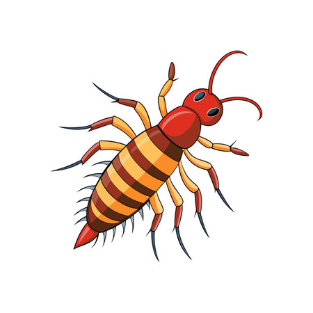 Colorful Realistic Illustration of Springtailのイラスト素材