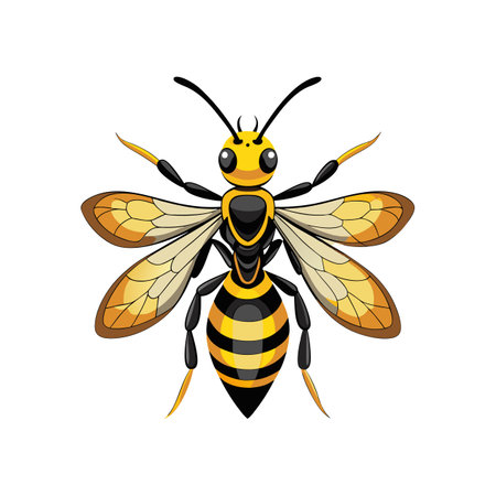 Realistic Sand Wasp Colorful Illustrationのイラスト素材