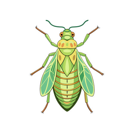Stunning Colorful Psyllid Artworkのイラスト素材