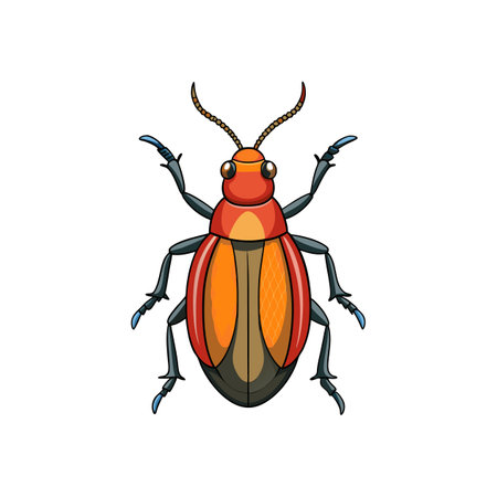 Colorful Realistic Illustration of Seedcorn Beetleのイラスト素材