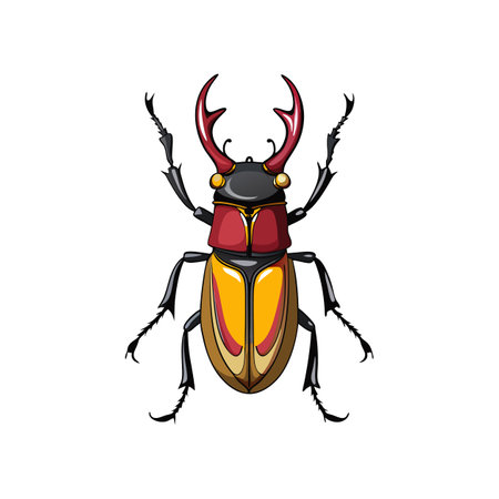 Realistic Color Illustration of Stag Beetleのイラスト素材