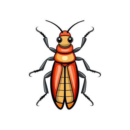 Realistic Color Illustration of Soldier Beetleのイラスト素材