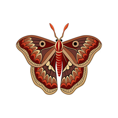 Colorful Realistic Illustration of Atlas Mothのイラスト素材