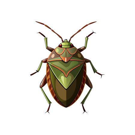 Unique Brown Marmorated Stink Bug Realistic Illustrationのイラスト素材