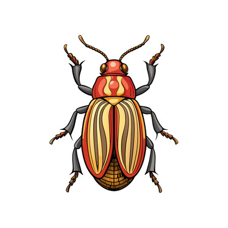 Detailed Illustration of Deathwatch Beetle in Colorのイラスト素材