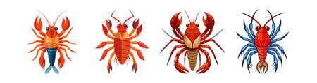 Realistic Cyclodorippidae Crustacean Colorful Illustrationのイラスト素材