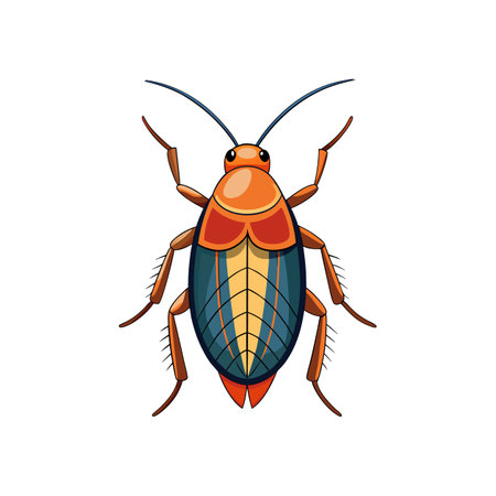 Realistic Color Illustration of German Cockroachのイラスト素材