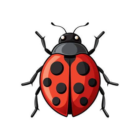Realistic Ladybird Colorful Illustrationのイラスト素材