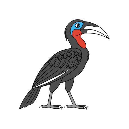 Realistic Abyssinian Ground Hornbill Bird Illustrationのイラスト素材