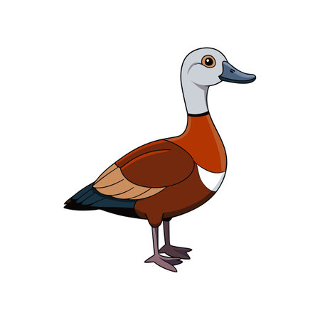African Pygmy Goose in Peaceful Habitatのイラスト素材