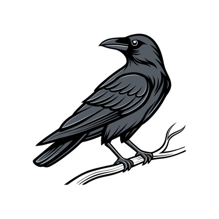 Black crow on a branch. Vector illustration of a crow on a branch.のイラスト素材