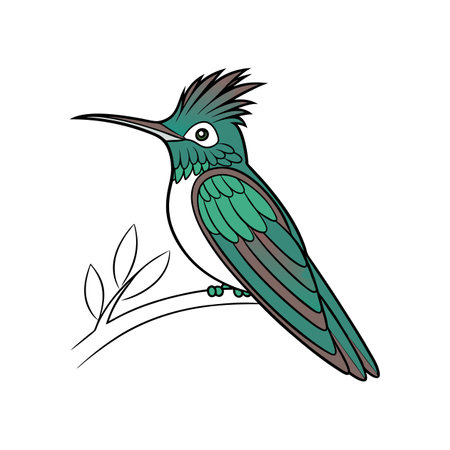 Elegant Realistic Illustration of Antillean Crested Hummingbirdのイラスト素材