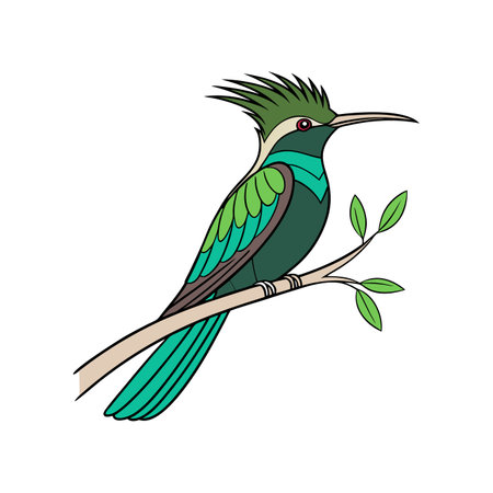 Stunning Antillean Crested Hummingbird Realistic Illustrationのイラスト素材