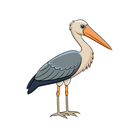 Charming Asian Openbill Bird Illustrationのイラスト素材