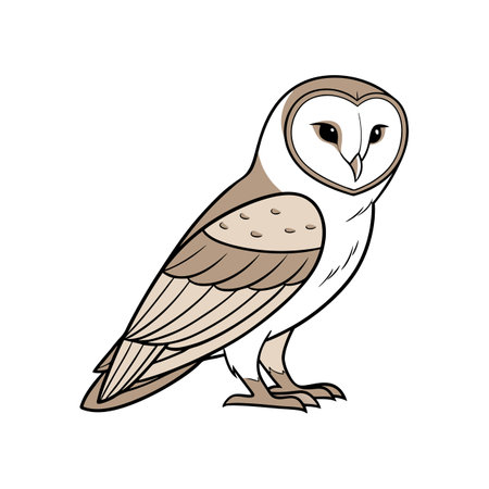 Vivid Artwork of Barn Owl Birdのイラスト素材
