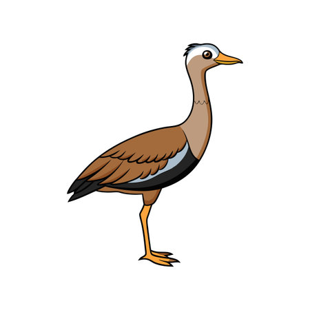 Elegant Black-Bellied Bustard Bird Artworkのイラスト素材