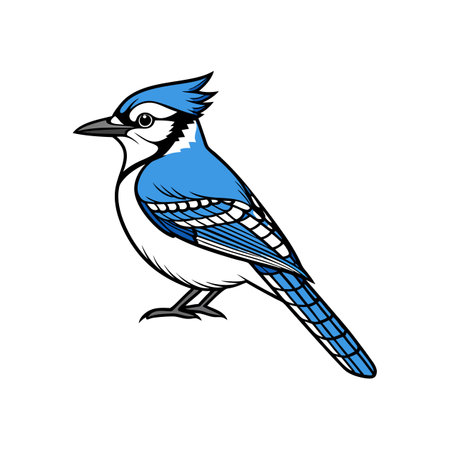 Charming Blue Jay Bird Artworkのイラスト素材