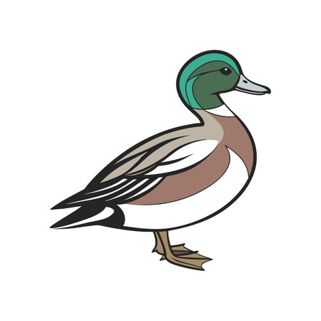 Charming American Wigeon in Natural Habitatのイラスト素材