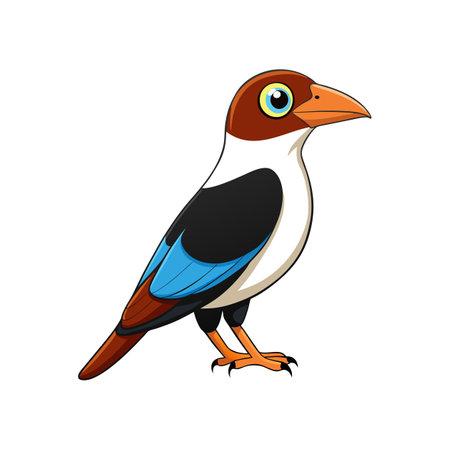 Realistic Artwork of African Broadbill Birdのイラスト素材