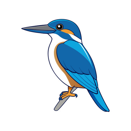 Kingfisher bird cartoon icon vector illustration graphic design vector illustration graphic designのイラスト素材