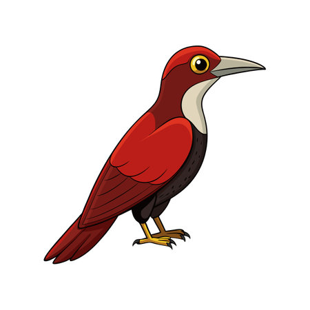 Detailed Black-Banded Woodcreeper Bird Artのイラスト素材