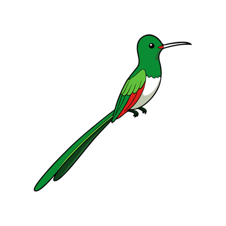 Charming Booted Racket-Tail Bird Artwork with Detailのイラスト素材