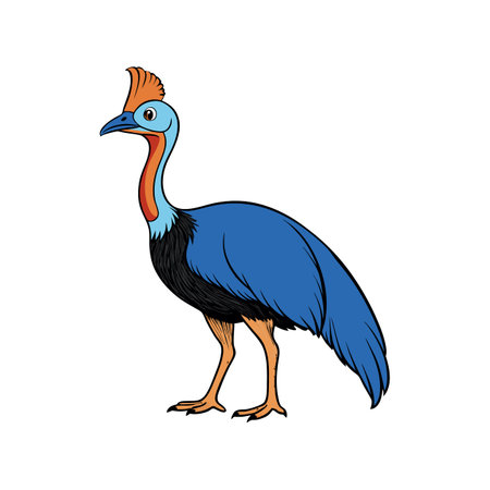 Elegant Cassowary Bird Illustrationのイラスト素材