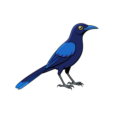 Beautifully Detailed Carib Grackle Bird Artworkのイラスト素材