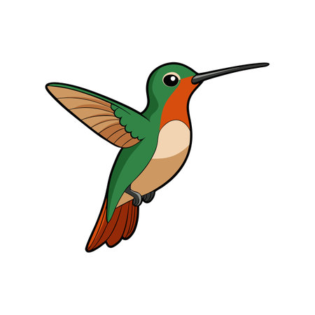Vivid Buff-Bellied Hummingbird Bird Artworkのイラスト素材