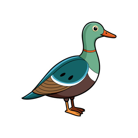 Vibrant Cape Teal Bird Illustration in Natural Settingのイラスト素材