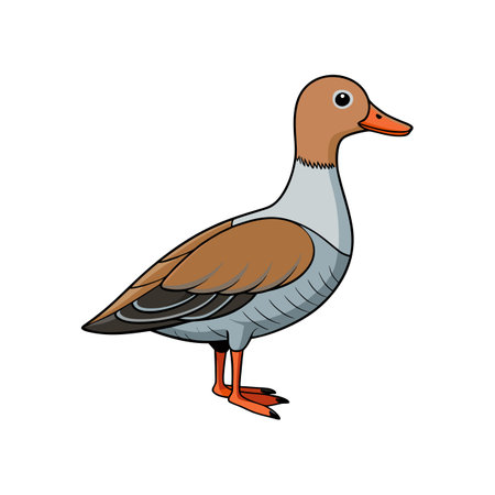 Beautifully Detailed Cape Teal Bird Artwork in Natureのイラスト素材