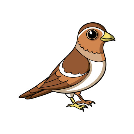 Stunning Buff-Collared Nightjar Bird Illustrationのイラスト素材