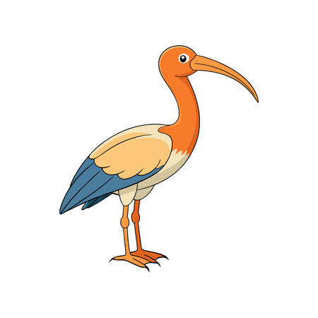Charming Buff-Necked Ibis Bird Designのイラスト素材