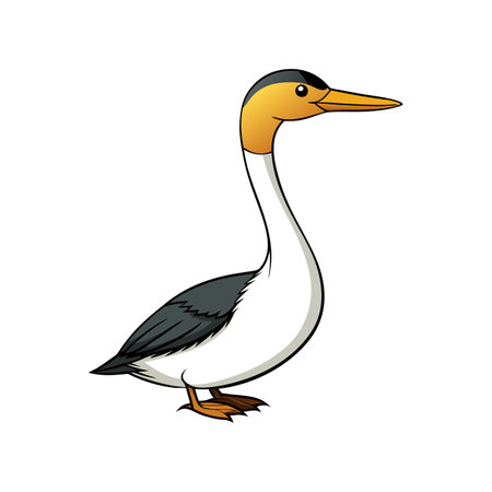 Beautiful Clark's Grebe Bird Illustration in Vibrant Colorsのイラスト素材